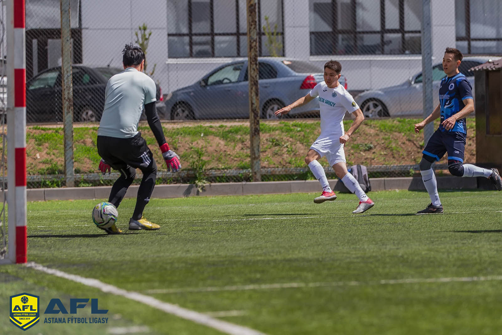 IMG 4230